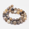 Natural Striped Agate/Banded Agate Bead Strands G-K155-A-10mm-13-3