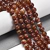 Natural Striped Agate/Banded Agate Beads Strands G-B079-A05-03B-1