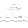 Tarnish Resistant 304 Stainless Steel Paperclip Chains CHS-H031-02P-2
