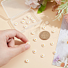 20Pcs Natural Freshwater Shell Beads SHEL-NB0001-65A-3