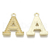 Alloy Pendants PALLOY-N157-002A-NR-3