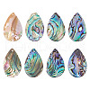 HOBBIESAY 8Pcs Natural Abalone Shell/Paua Shell Pendants SSHEL-HY0001-02-1