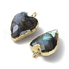 Natural Labradorite Pendants G-G012-11G-06-3