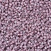 MIYUKI Delica Beads SEED-X0054-DB0379-3