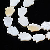 Natural Freshwater Shell Beads Strands SHEL-S278-04-A01-3
