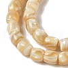 Natural Trochid Shell/Trochus Shell Beads Strands BSHE-H018-01-3