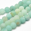 Natural Amazonite Bead Strands X-G-G684-03-10mm-1