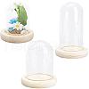 SUNNYCLUE 3 Style Glass Cover AJEW-SC0001-60A-1