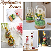Glass Dome Cloche Cover AJEW-BC0005-86-7