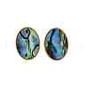 304 Stainless Steel Natural Paua Shell Stud Earrings EJEW-Z103-13G-4