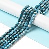 Natural Apatite Beads Strands G-G858-02B-2