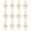12Pcs Natural Freshwater Shell Flower Connector Charms PALLOY-HS00006-1