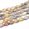 Natural Crazy Agate Flat Oval Bead Strands G-M206-18-1