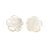 Natural White Shell Beads SHEL-M021-08A-1