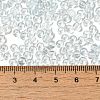 Transparent Colours Glass Seed Beads SEED-P007-02A-09-4