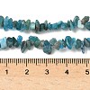 Natural Apatite Beads Strands G-G0003-B08-01-2