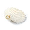 Natural Shell Pendants PALLOY-TA00079-4