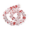 Handmade Glass Enamel Beads Strands LAMP-A001-A11-4