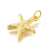 Brass Pendants KK-U072-17G-2