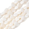 Natural Freshwater Shell Beads Strands SSHEL-C013-05-1
