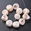 Natural Spiral Shell Bead Strands SSHEL-N034-106-3