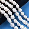Natural Cultured Freshwater Pearl Beads Strands PEAR-N014-08F-2