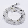Natural Tourmalinated Quartz Beads Strands G-P336-02A-8mm-2
