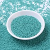 MIYUKI Round Rocailles Beads SEED-G007-RR0412-2