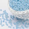 13G 8/0 Glass Seed Beads SEED-YW0001-85B-1