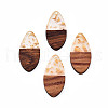 Transparent Resin & Walnut Wood Pendants RESI-N025-032-A01-2