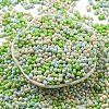 Opaque Baking Paint Glass Seed Beads SEED-K009-01A-31-2
