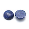 Natural Lapis Lazuli Cabochons G-P393-R11-14mm-2