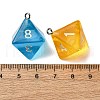 8 Facets Transparent Resin Pendants RESI-S021-01B-3