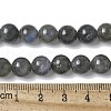 Natural Labradorite Beads Strands G-U017-8MM-01-5