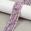 Natural Lepidolite/Purple Mica Stone Beads Strands G-H230-80-1