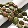 Natural Unakite Beads Strands G-P561-B02-01-2