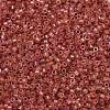 Cylinder Seed Beads SEED-H001-F12-4