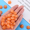 Imitation Jelly Acrylic Beads MACR-S373-92-E05-6