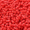Rubberized Style Glass Seed Beads SEED-Z003-01E-3