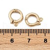 Brass Ring Twister Clasps KK-P310-01G-3