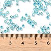 Glass Seed Beads X-SEED-S042-04B-23-4