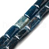 Natural Apatite Beads Strands G-Q026-B01-01-1