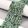 Natural African Turquoise(Jasper) Beads Strands X-G-A02-02-2