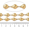 304 Stainless Steel Insects Link Chains CHS-U004-01B-G-3