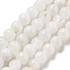Round Grade A Natural Rainbow Moonstone Bead Strands G-M304-06-5mm-2