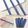 12M Polyester Wavy Edged Lace Trim OCOR-WH0088-27-4