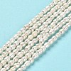 Natural Cultured Freshwater Pearl Beads Strands PEAR-E016-144-2