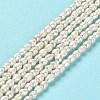 Natural Cultured Freshwater Pearl Beads Strands PEAR-E016-144-2