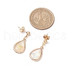 Brass Natural Paua Shell Teardrop Dangle Stud Earrings EJEW-JE06408-02-3