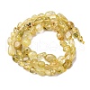 Natural Gold Rutilated Quartz Beads Strands G-K395-A09-01-3